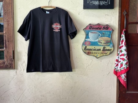 Harley Davidson T-shirt