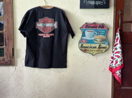 Harley Davidson T-shirt