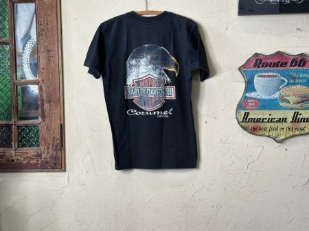 Harley Davidson T-shirt