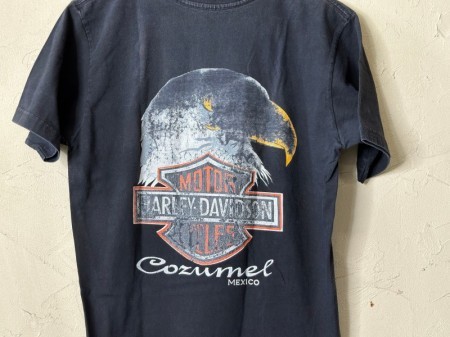 Harley Davidson T-shirt