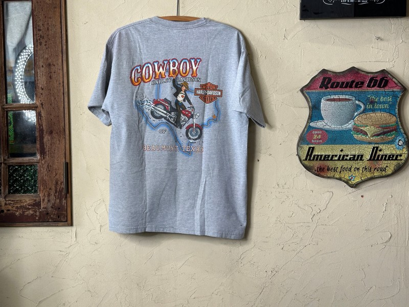 Harley Davidson T-shirt